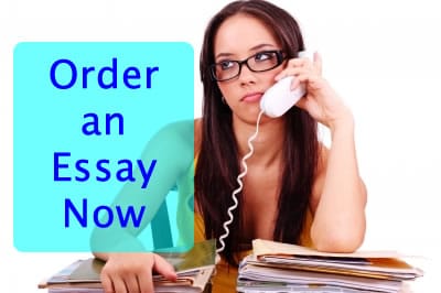 EssayShark - Cheap Essay Writing Service Fast Online Help