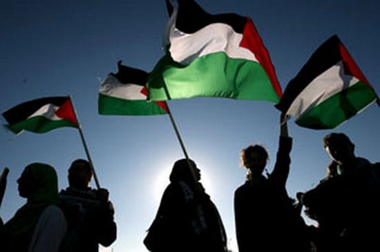 PLO Palestine Liberation Organization essay